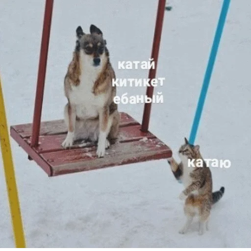 😼 Стикер «popug mem» для Telegram