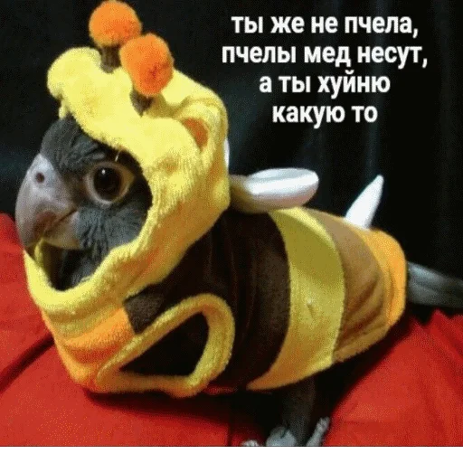 😝 Стикер «popug mem» для Telegram