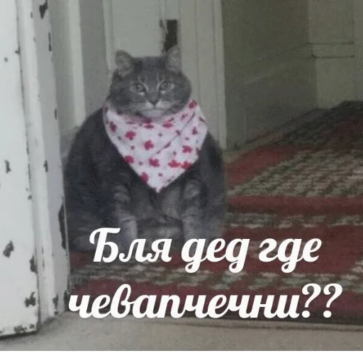 🥟 Стикер «popug mem» для Telegram