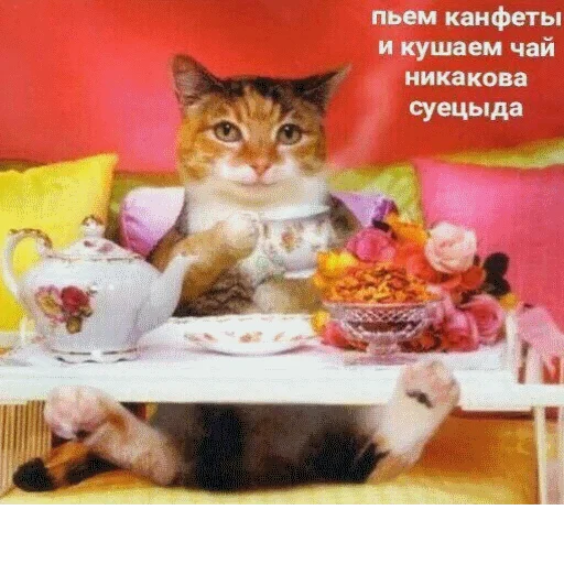 👌 Стикер «popug mem» для Telegram