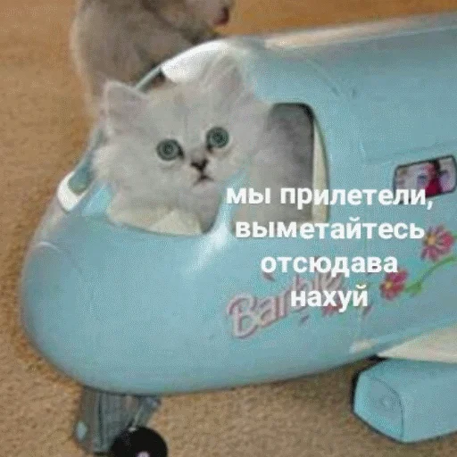 🖕 Стикер «popug mem» для Telegram
