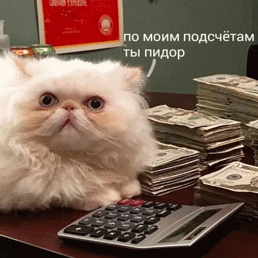 😾 Стикер «popug mem» для Telegram