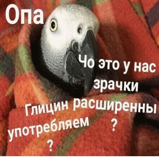 🤨 Стикер «popug mem» для Telegram