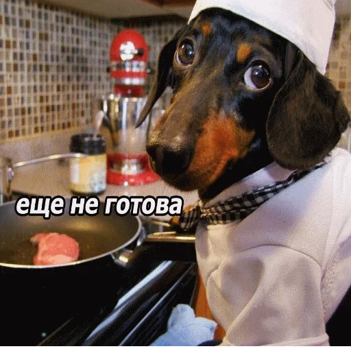 👨‍🍳 Стикер «popug mem» для Telegram