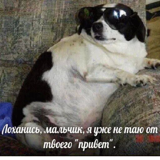 💃 Стикер «popug mem» для Telegram