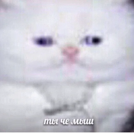 😢 Стикер «popug mem» для Telegram