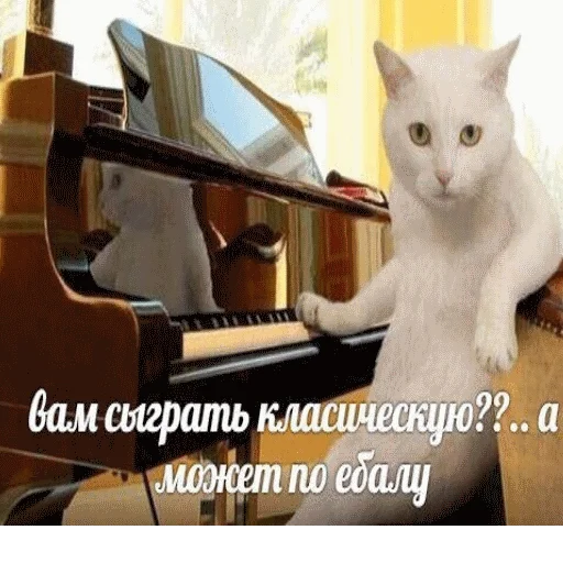 👊 Стикер «popug mem» для Telegram