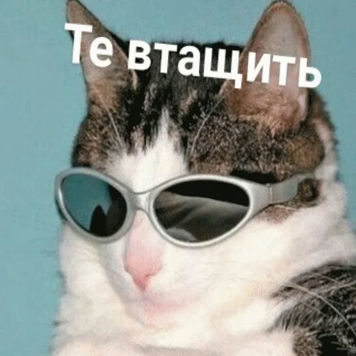 👊 Стикер «popug mem» для Telegram