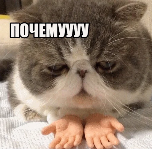 🤔 Стикер «popug mem» для Telegram