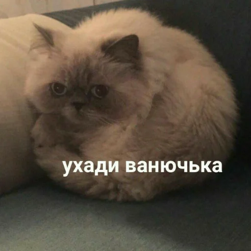 Стикерпак Мемы для АуТиСтОв для Telegram