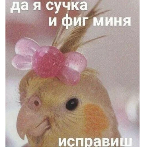 😎 Стикер «Мемы для АуТиСтОв» для Telegram