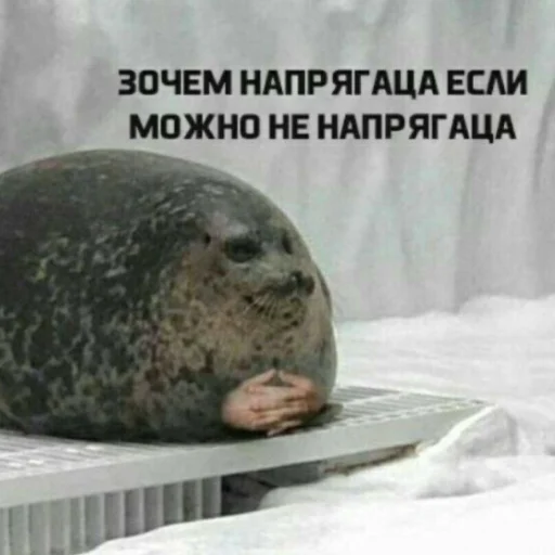 ✌ Стикер «Мемы для АуТиСтОв» для Telegram