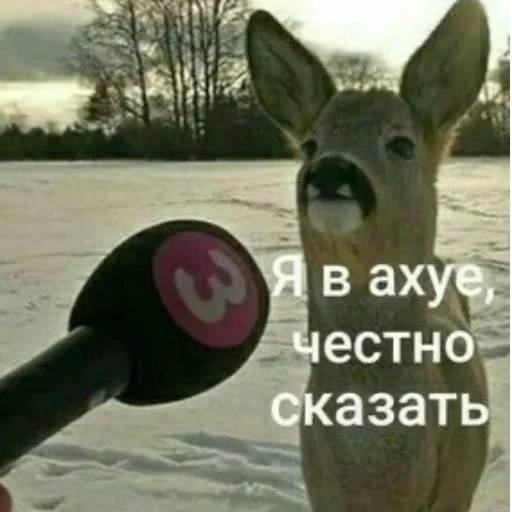 😳 Стикер «Мемы для АуТиСтОв» для Telegram