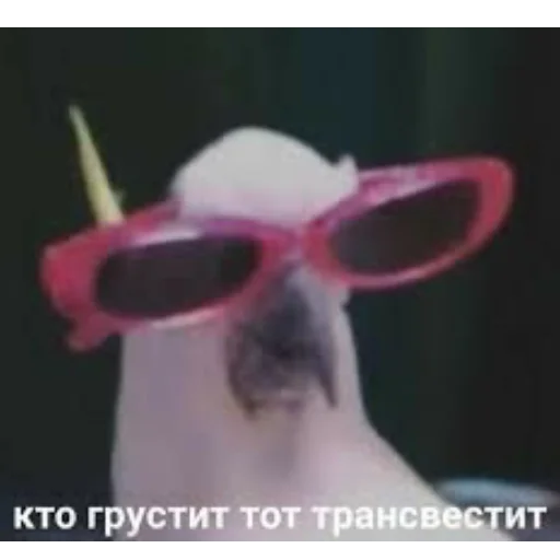 😁 Стикер «Мемы для АуТиСтОв» для Telegram