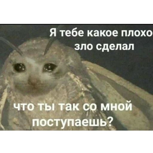 😭 Стикер «Мемы для АуТиСтОв» для Telegram