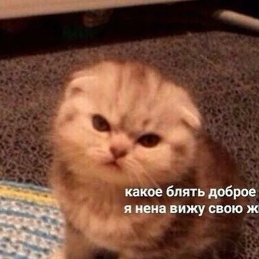 🗿 Стикер «Мемы для АуТиСтОв» для Telegram