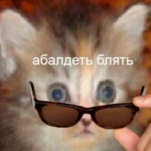 😳 Стикер «Мемы для АуТиСтОв» для Telegram