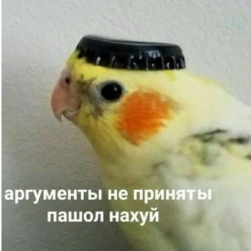 😑 Стикер «Мемы для АуТиСтОв» для Telegram