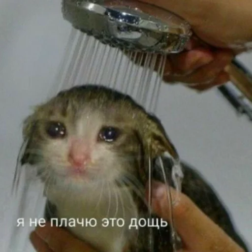 😭 Стикер «Мемы для АуТиСтОв» для Telegram