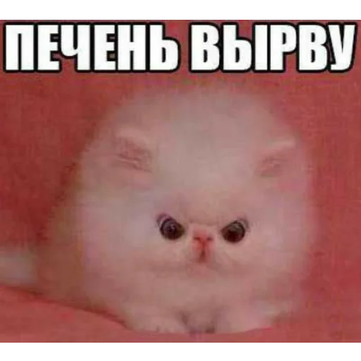 👺 Стикер «Мемы для АуТиСтОв» для Telegram