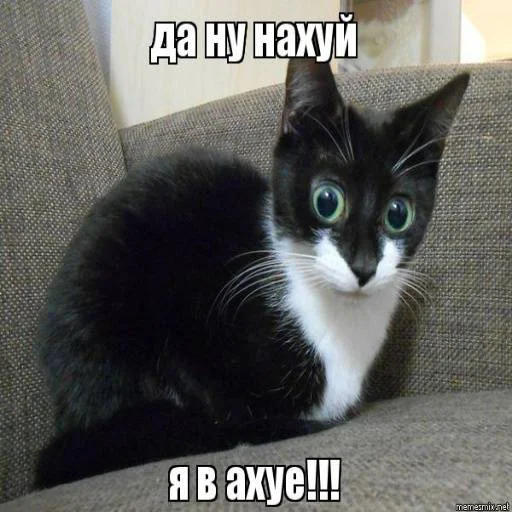 😲 Стикер «Pizdec» для Telegram