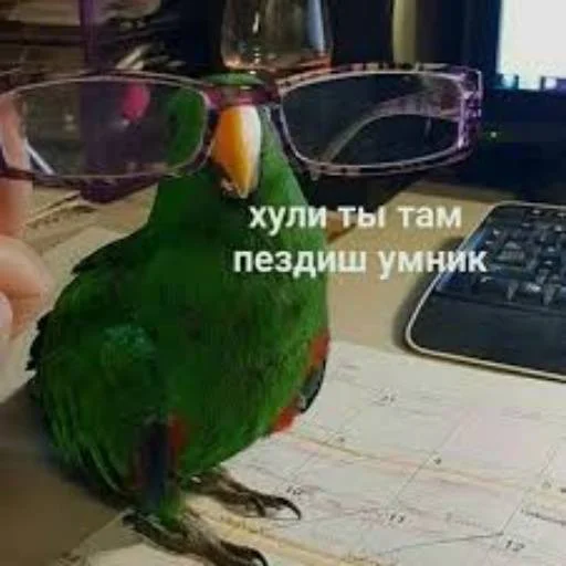 🤔 Стикер «Pizdec» для Telegram