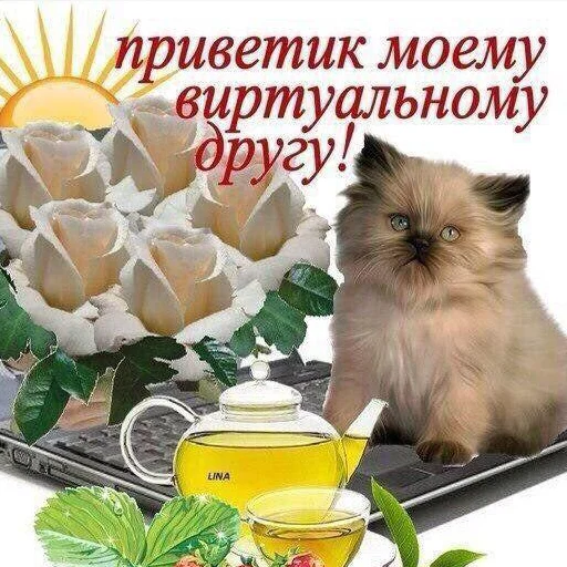 👋 Стикер «мемные стикеры для тебя» для Telegram