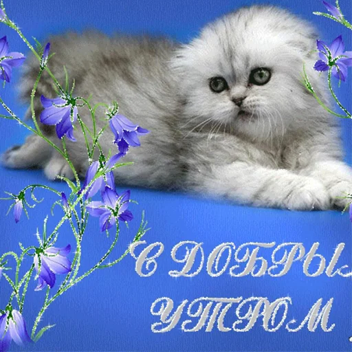 😇 Стикер «мемные стикеры для тебя» для Telegram