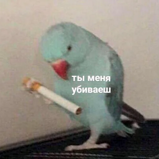 💘 Стикер «мемные стикеры для тебя» для Telegram