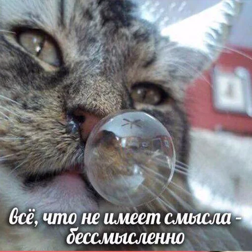 🧐 Стикер «мемные стикеры для тебя» для Telegram