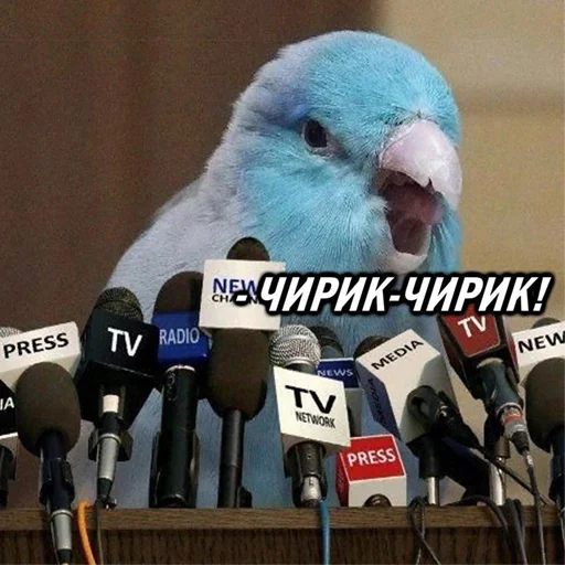 😲 Стикер «мемные стикеры для тебя» для Telegram