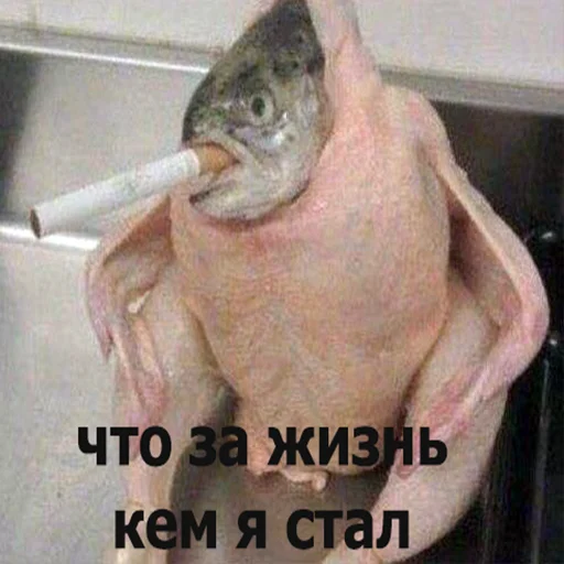 🤭 Стикер «мемные стикеры для тебя» для Telegram