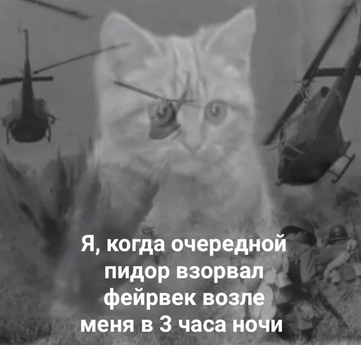 🤬 Стикер «мєми про жівотних» для Telegram