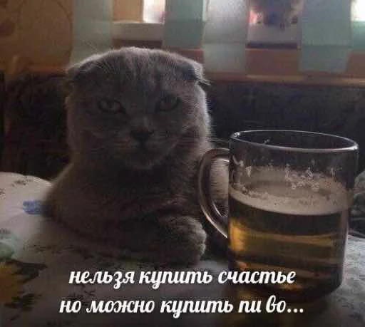 🍺 Стикер «мєми про жівотних» для Telegram