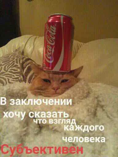 🤷‍♀️ Стикер «мєми про жівотних» для Telegram