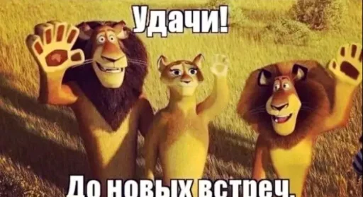 👋 Стикер «mem zak_gold» для Telegram
