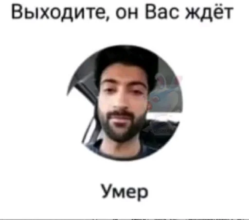 😈 Стикер «mem zak_gold» для Telegram