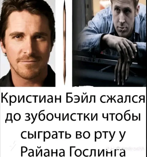 😎 Стикер «mem zak_gold» для Telegram