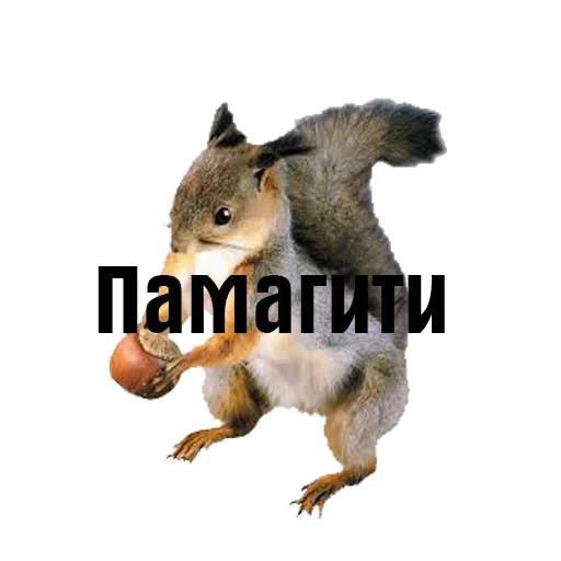 😚 Стикер «Мемы жизы» для Telegram