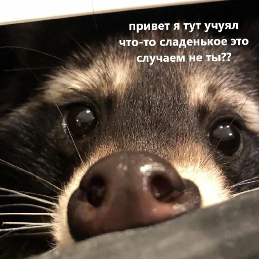 ❤️ Стикер «Man and love» для Telegram