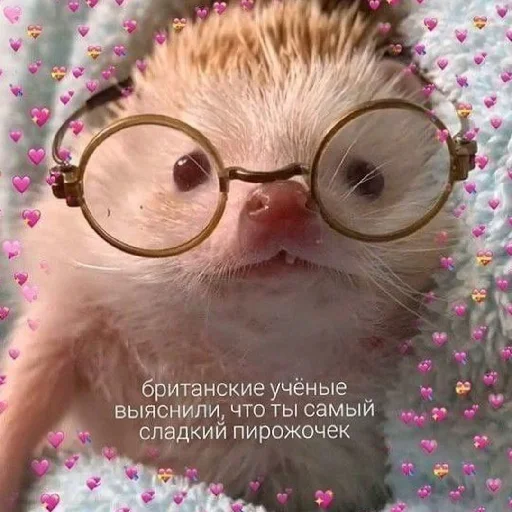 ❤️ Стикер «Man and love» для Telegram