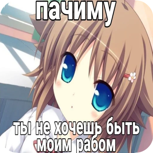 🥺 Стикер «я твою мамку на шампуре вертела» для Telegram