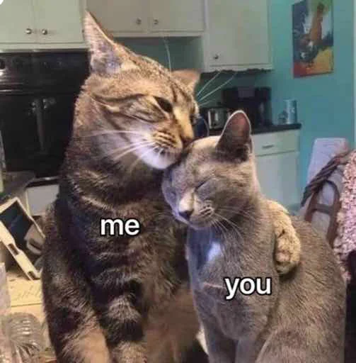 🥺 Стикер «kucingnya dante» для Telegram