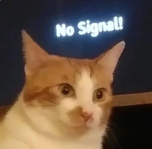 😐 Стикер «kucingnya dante» для Telegram