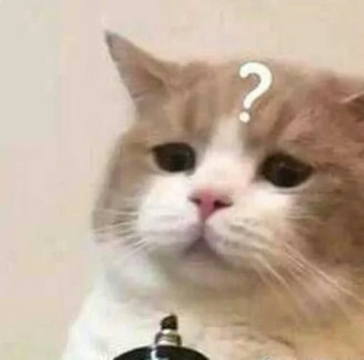 😦 Стикер «kucingnya dante» для Telegram