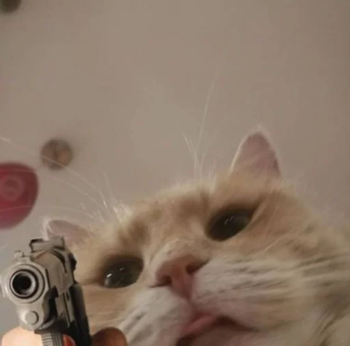 🔫 Стикер «kucingnya dante» для Telegram
