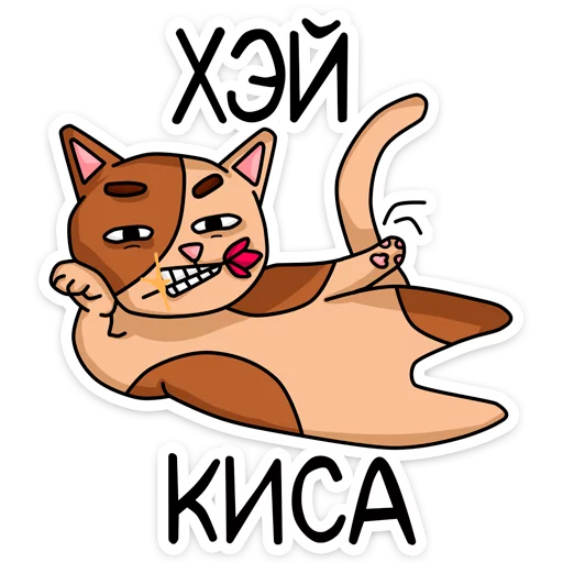 😉 Стикер «Котики» для Telegram