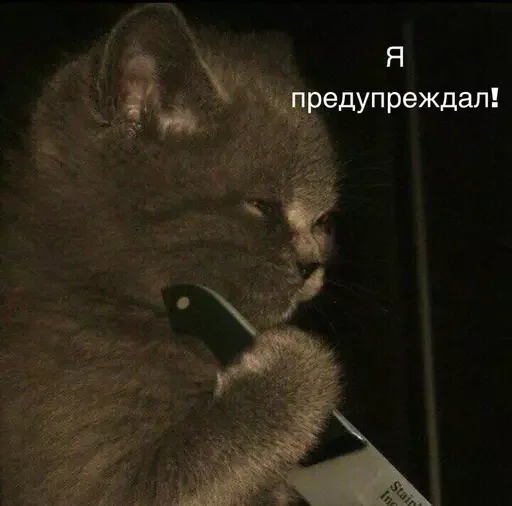 🫡 Стикер «Миу боты» для Telegram