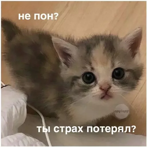 ⚔️ Стикер «Миу боты» для Telegram