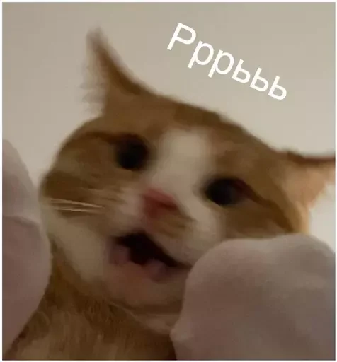 😾 Стикер «Миу боты» для Telegram